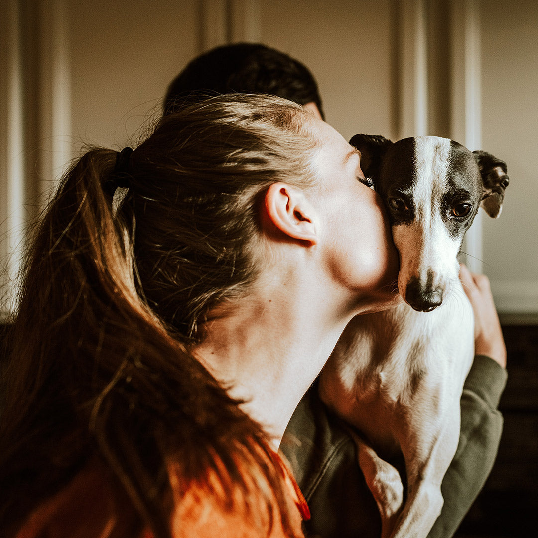 A human giving their white and black dog a kiss on the side of the head, at FurHaven Pet Products 