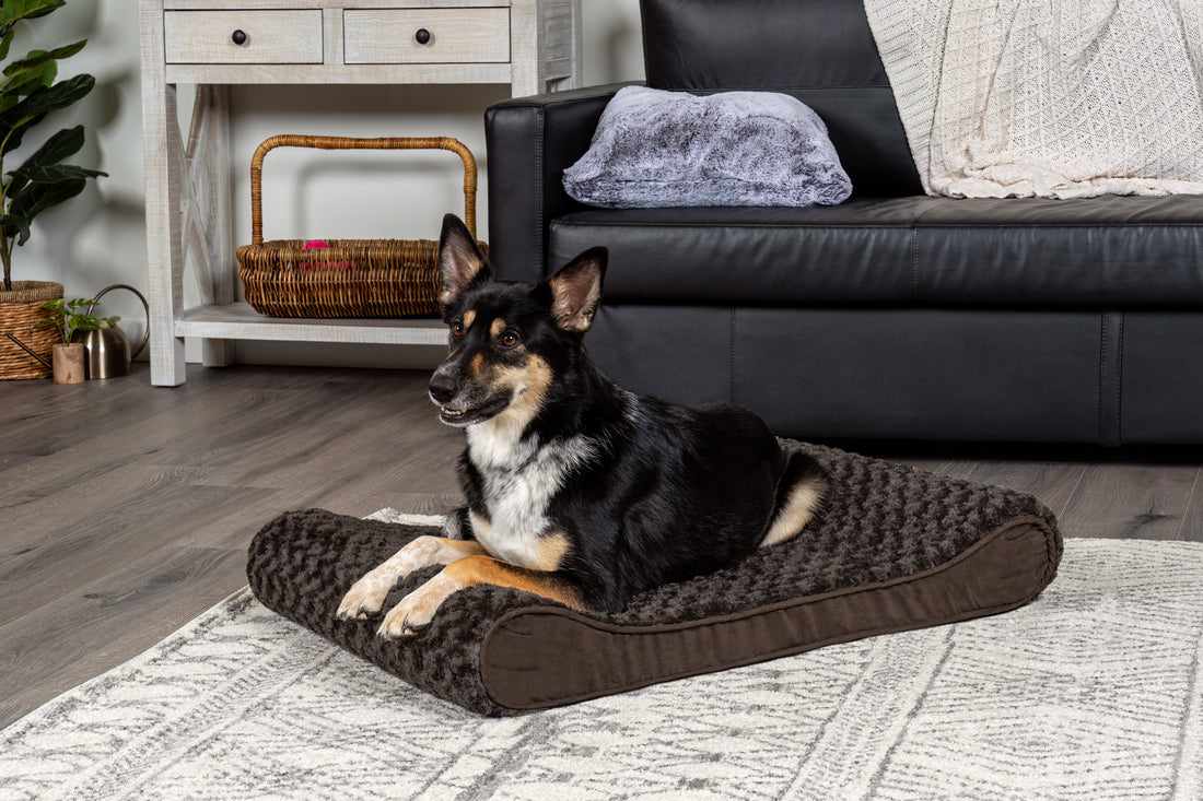 Luxe Lounger Contour Dog Bed - Ultra Plush