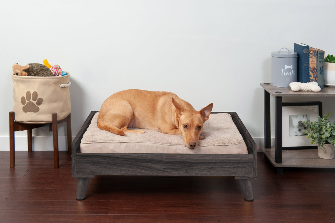 Bed Frame for Sofa-Style and Deluxe Mattress Dog Beds