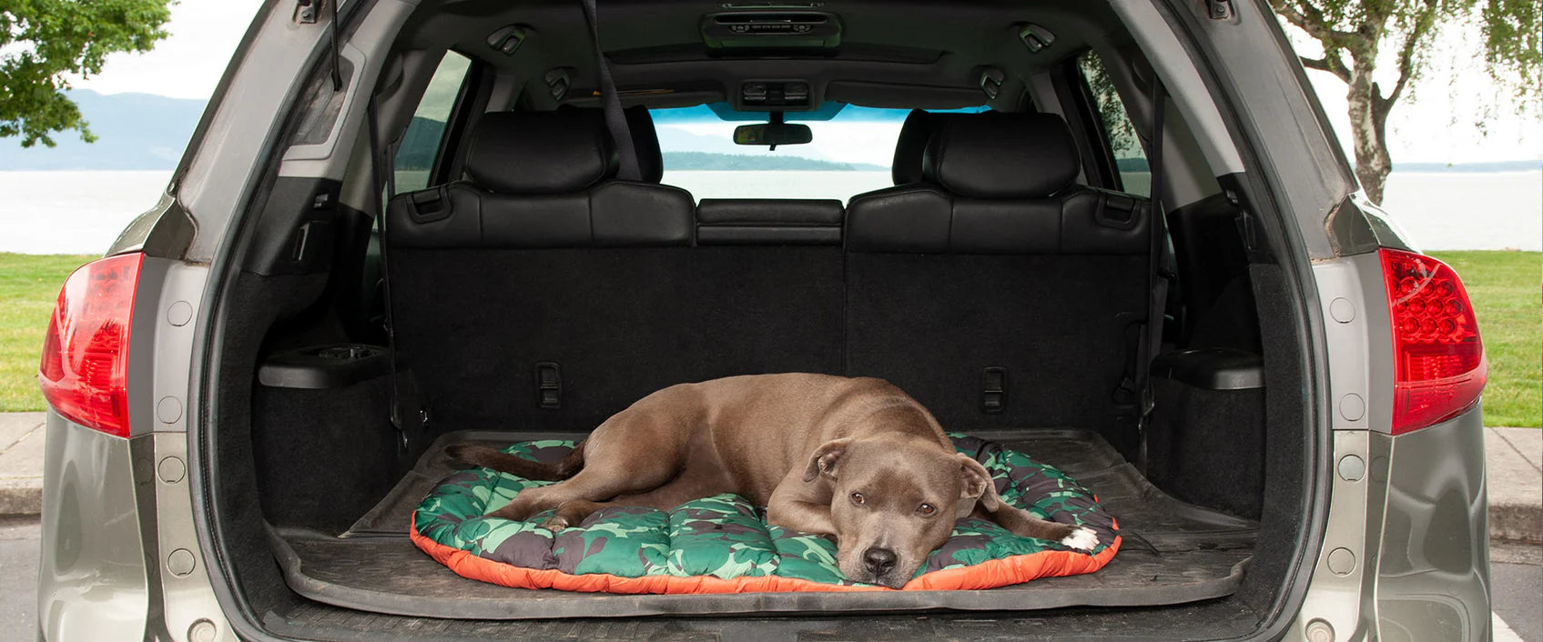 slider image 1621243260e1af0c20-1