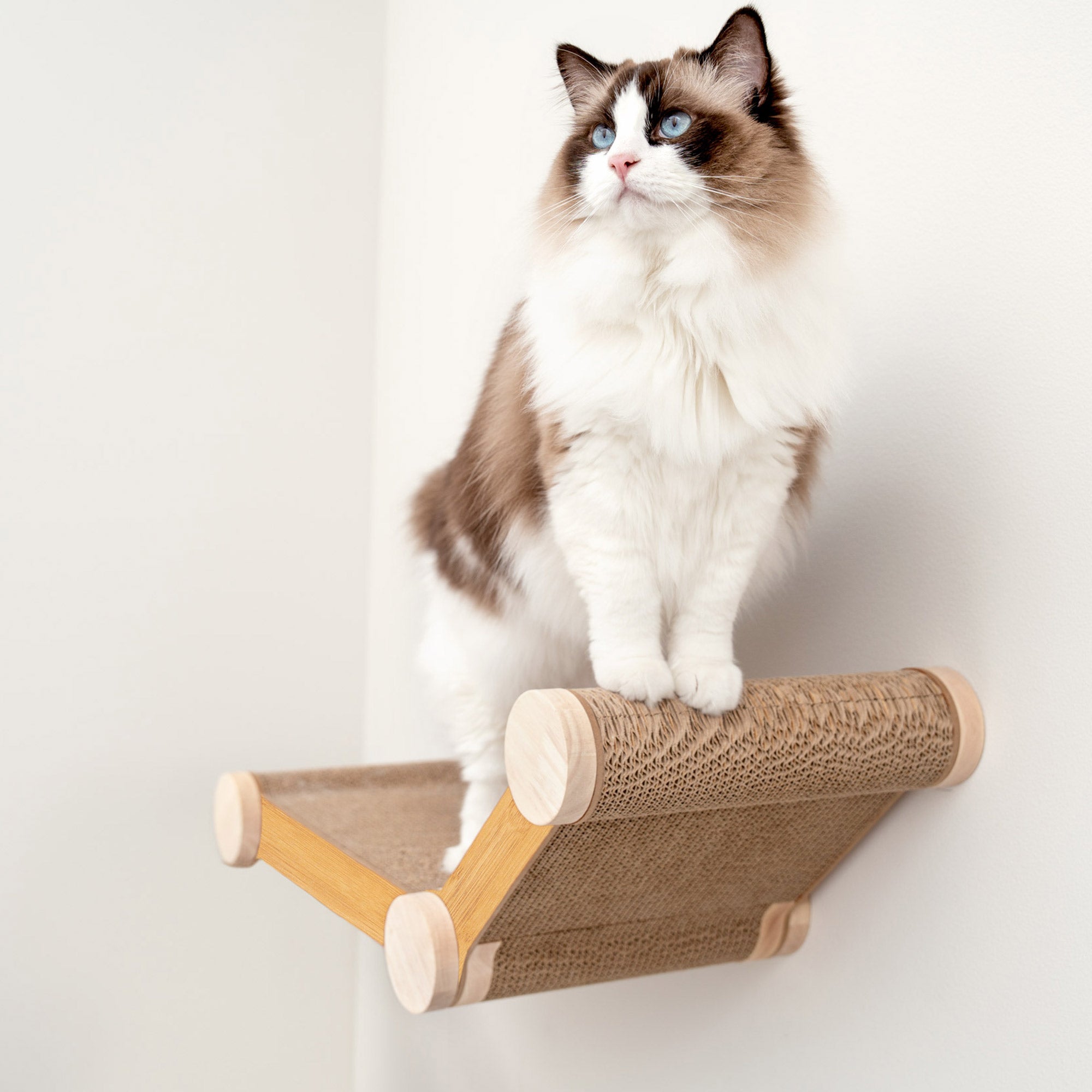 Ascentials by FurHaven Wall-Mounted Lookout Lounge Cat Shelf (26")