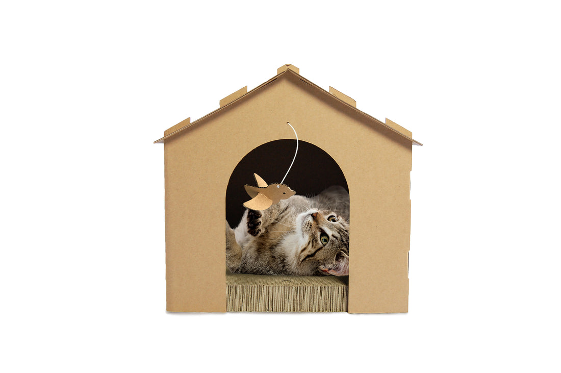 Corrugated House Scratcher with Catnip