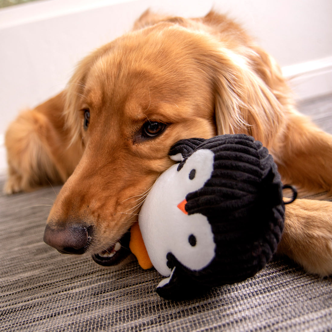 Penguin Silent Squeak Soft Plush Chew Guard Dog Toy, Medium